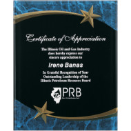 8 x 10 Shooting Star Acrylic Plaque Award