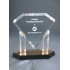 11" Gold Acrylic Floating Diamond Award