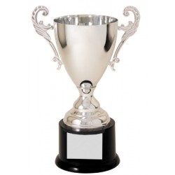 10" Silver Completed Metal Cup Trophy