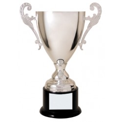 15 1/2" Silver Completed Metal Cup Trophy