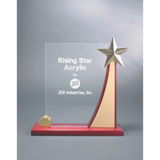 9 x 9 1/2' Rising Star Curved Acrylic Award