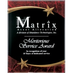 8 x 10 Shooting Star Acrylic Red Marble Award