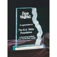 6 1/2 x 9" Clear Frosted Waterfall Edge Award