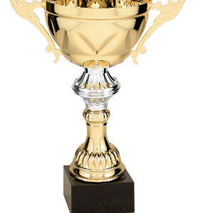 10 3/4" Gold Completed Medal Cup Trophy w/Marble Base