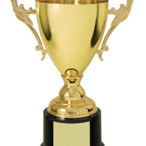 10" Gold Completed Metal Cup Trophy