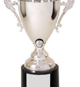 10" Silver Completed Metal Cup Trophy