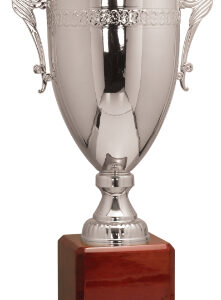 24 1/2" Silver Completed Metal Cup Trophy