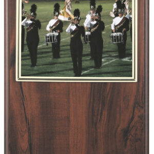 9 X 12 Picture Plaque Award