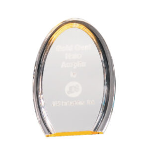 8" Acrylic Plaque Award