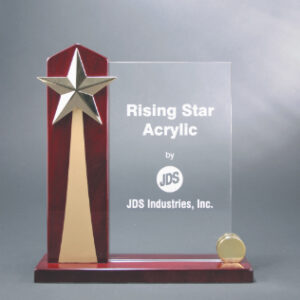 9 x 9 1/2" Rising Star Acrylic Award