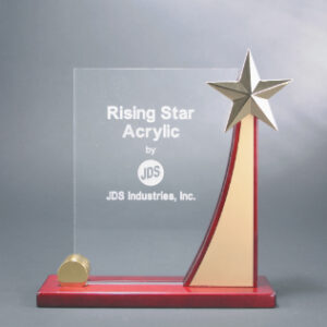 9 x 9 1/2' Rising Star Curved Acrylic Award
