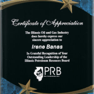 8 x 10 Shooting Star Acrylic Plaque Award